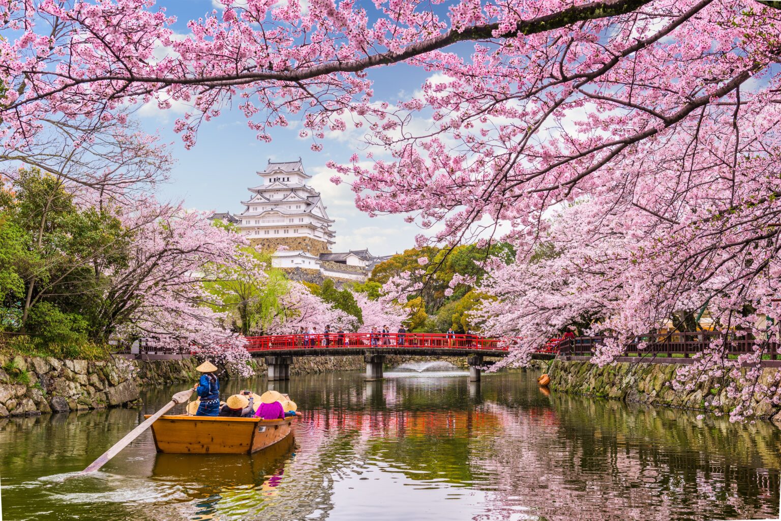 Japan Kirschblüten 2025 Jetzt ist die perfekte Zeit zum Planen und